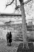 20200319-M7_SEM21_Orion15_HP52020-03-19-0001_500_Wehner_standtart_VS_N_1_YYYY-MM-DD-0014.jpg