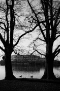 20210303-M6_Cron50_APX100alt_Rodinal_1-25_8min_kipp_VS_N_1_2021-03-03-0035.jpg