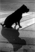 2406_Y35ME_Foma100_026_web.jpg