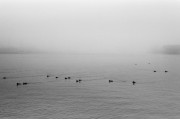 27870029_1280.jpg 27870029_1280.jpg