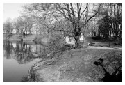 29IMG_4171ee2.JPG 29IMG_4171ee2.JPG