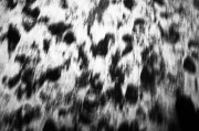 31081.JPG 31081.JPG
