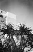 3_12_HP5_2023_4.jpg