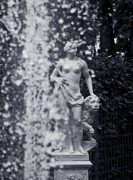 44414.jpg 44414.jpg
