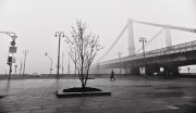 46111.jpg 46111.jpg