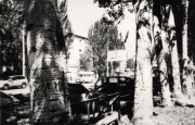 55_0003.jpg