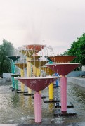 6226.JPG