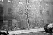 800_yyhjurre281018-01.jpg