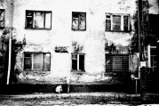 87420015-R.jpg
