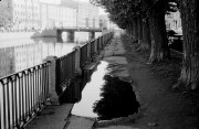 Bw_19-1.jpg Bw_19-1.jpg