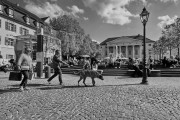 DSC04136_.JPG
