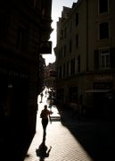 DSC1133.jpg