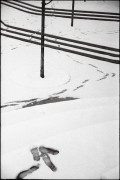 Dec_street_2017_029.jpg