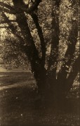 F820.jpg