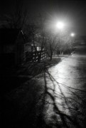 FLM201201009.jpg