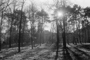 FLM201211028.jpg