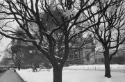 Fomapan_200_31.jpg