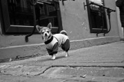 HP5_06_10_2012_43_.jpg