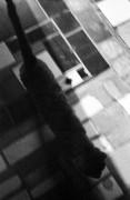 Hello.jpg