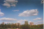IMAGE0029.JPG