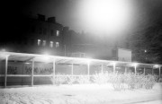 IMG009481web.jpg