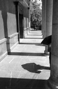 IMG0333.jpg