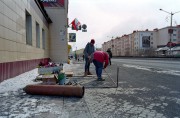 IMG03766.jpg IMG03766.jpg