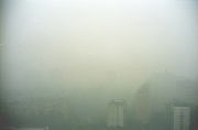 IMG1732.jpg