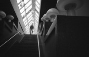 IMG3538-0mm.jpg