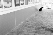 IMG3683-0m.jpg