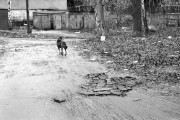 IMG3688-0m.jpg