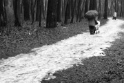 IMG3696-0m.jpg