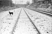 IMG4333-0m.jpg