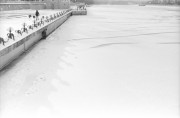 IMG4644-0m.jpg