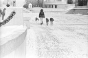 IMG4646-0m.jpg