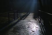 IMG468_.jpg