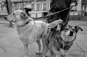 IMG_0044.jpeg