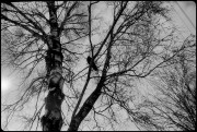 IMG_0472.JPG