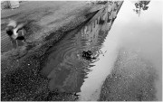 IMG_0491-11.jpg