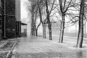 IMG_1212.JPG