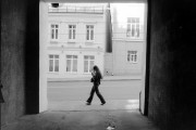 IMG_1383-_.jpg