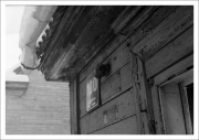 IMG_1950e2.JPG IMG_1950e2.JPG