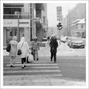 IMG_1973e2.JPG IMG_1973e2.JPG