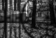 IMG_20151128_0011-3.jpg