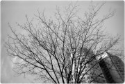 IMG_2796.JPG IMG_2796.JPG