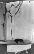 Image00032.JPG