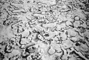 Image0005.jpg