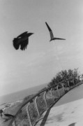Image00511.JPG