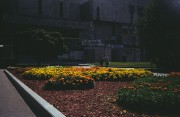 Image8-11.jpg