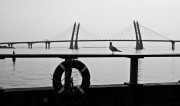 L1000812.jpg